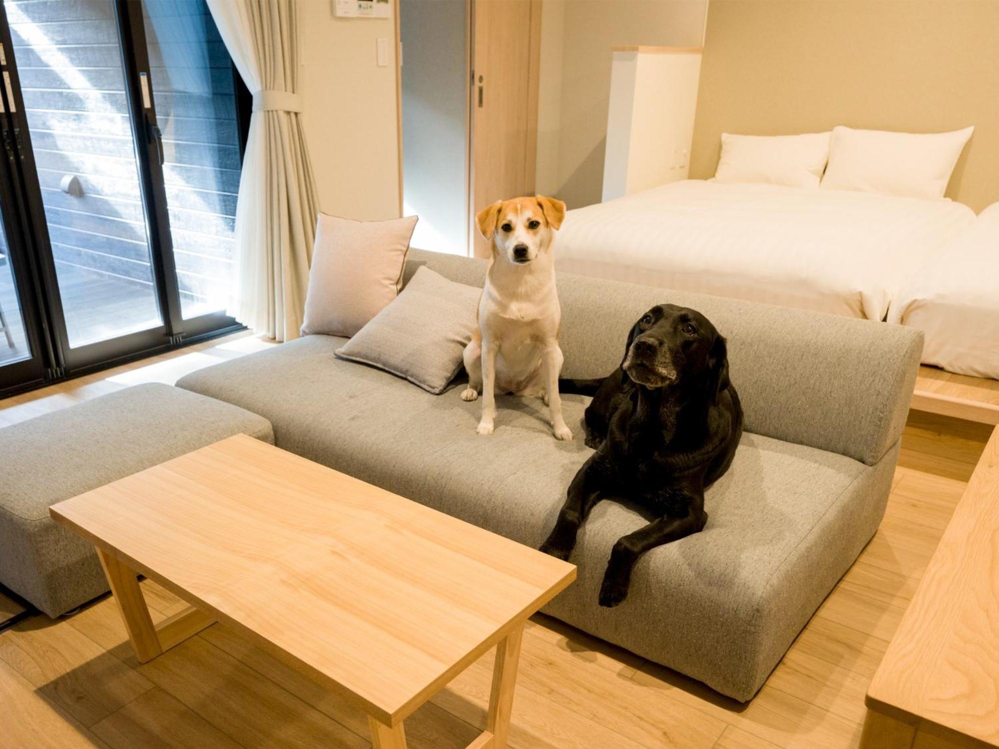 Rakuten Stay Nikko Hoden Capacity Of 4 Persons 外观 照片